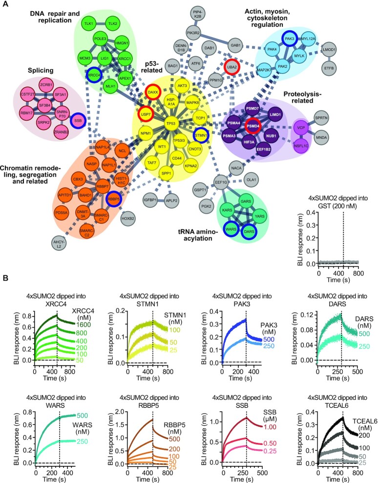 Genome Stability Lab (GSL) research