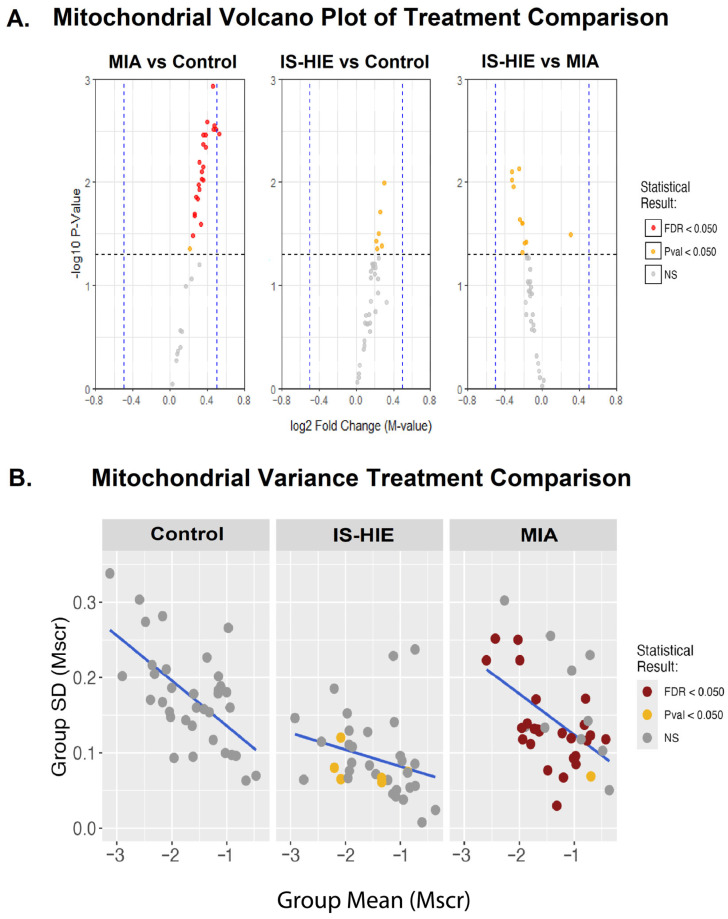 Translational Oncology Group research