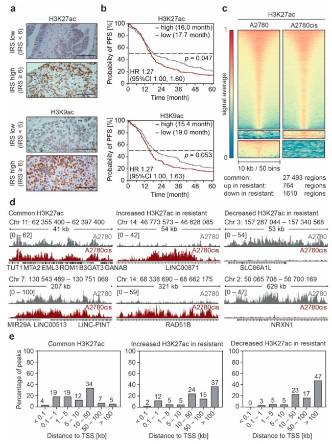 Figure(s) from: "Functional Analysis of Non-Genetic Resistance to Platinum in Epithelial Ovarian Cancer Reveals a Role for the MBD3-NuRD Complex in Resistance Development" — figures describing chromatin-mediated mechanisms associated with platinum resistance and candidate chromatin regulators.
