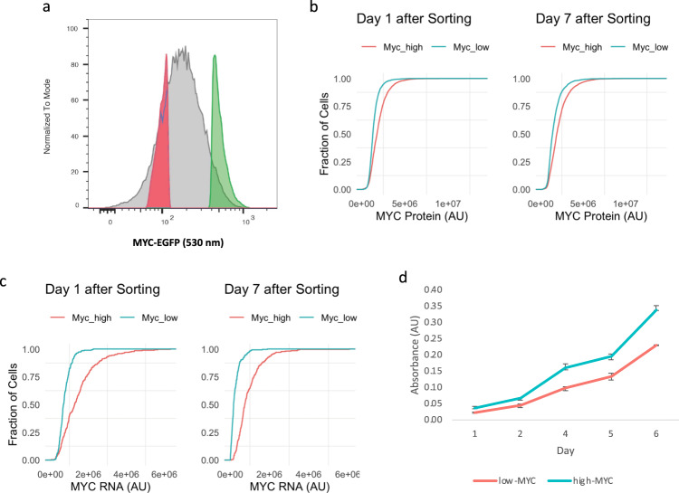 Simultaneous readouts of p53 and MAPK reporters and coordinated dynamics during DNA damage (Hanson & Batchelor, Mol Syst Biol 2022).