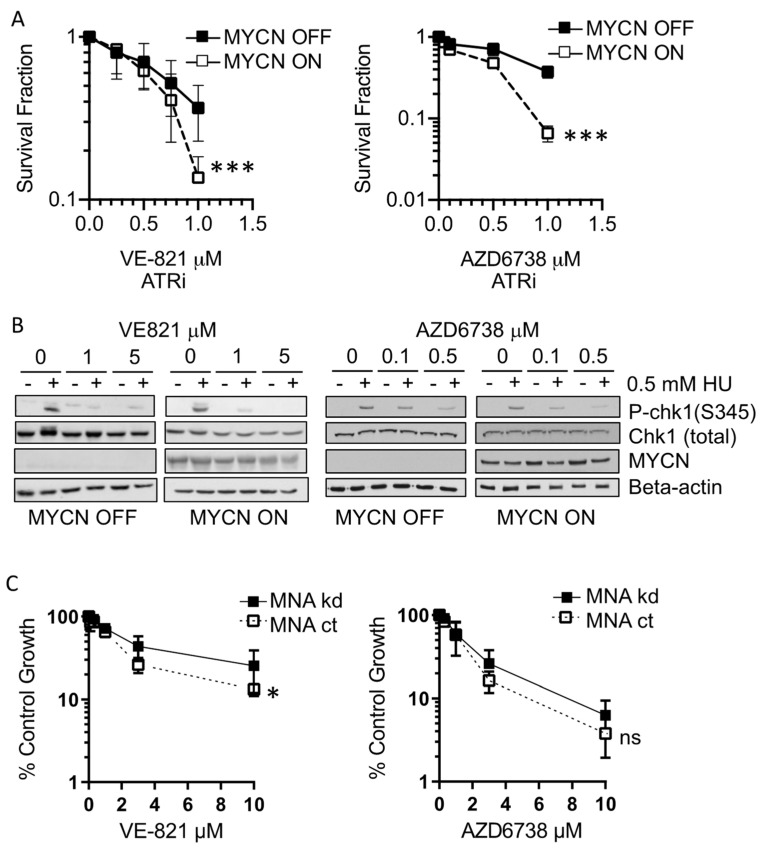Replication-stress features associated with ATR-inhibitor sensitivity in neuroblastoma models.