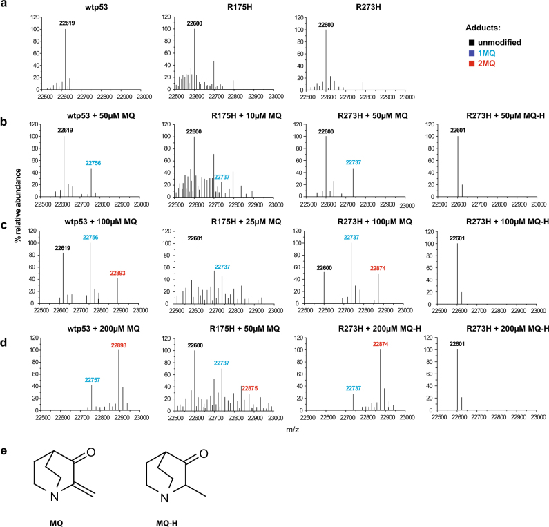 Figures from Zhang Q., Bykov V.J.N., Wiman K.G., Zawacka‑Pankau J. (Cell Death & Disease, 2018) — APR‑246/PRIMA‑1MET reactivation of mutant p53 (figures and data showing targeting of cysteines 124 and 277). PMC full‑text article.