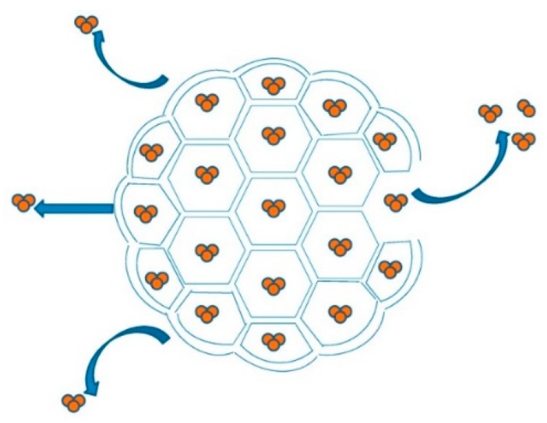Nanomedicine project overview and formulation images from the UiB nanomedicine project pages.