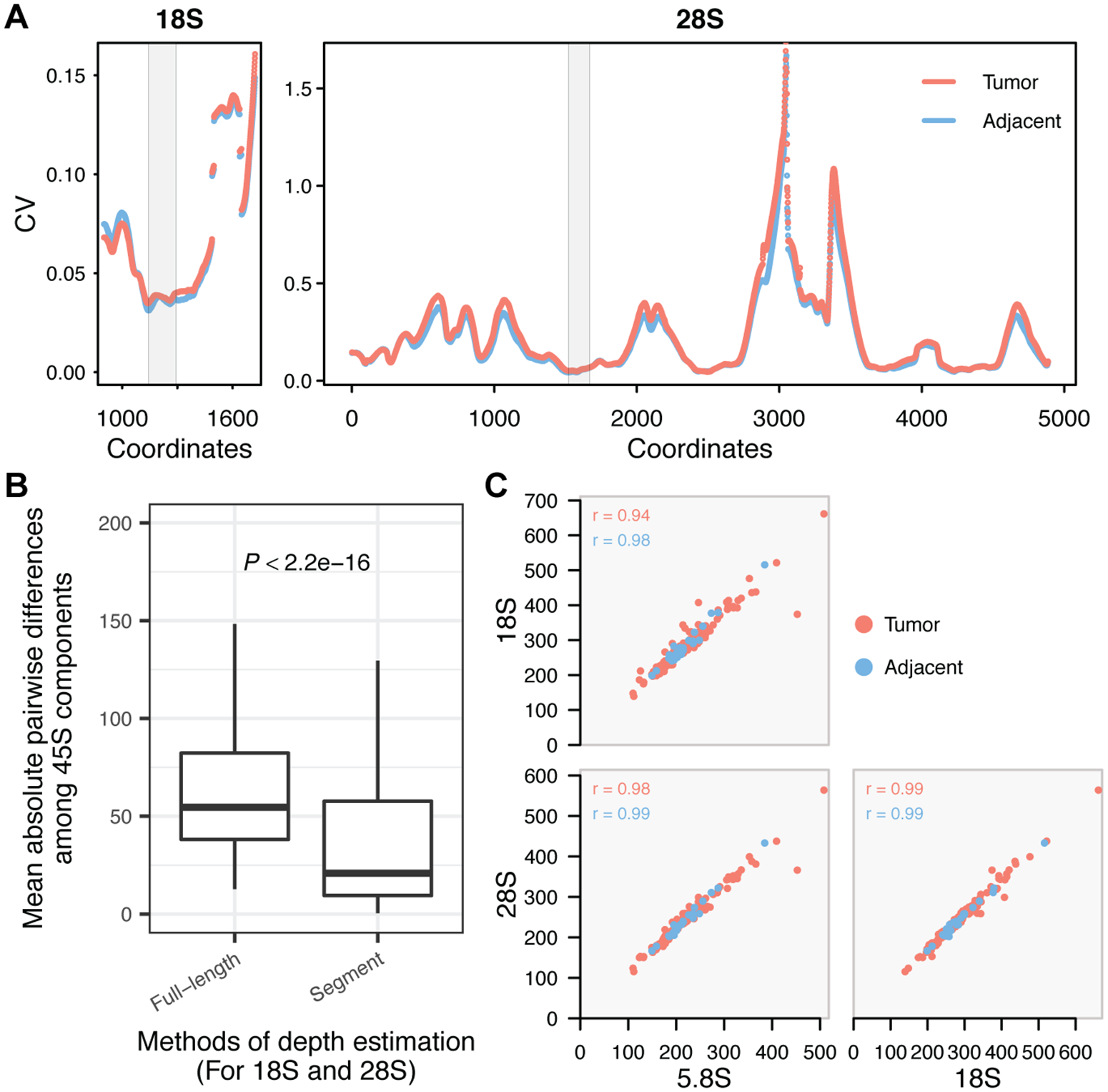 Figure 1 from Wang & Lemos, PLoS Genetics (2017) — coupled 5S amplification / 45S loss patterns across tumour types (open‑access publisher figure).