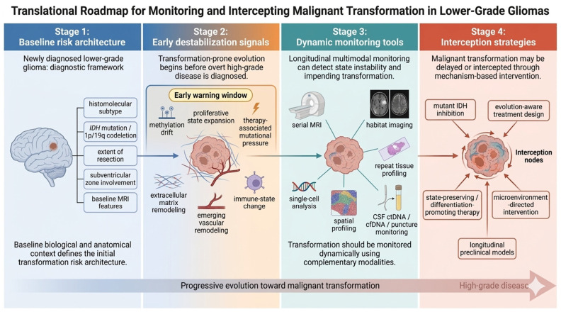Open-access figures linking ARID1A loss, transcription-factor programmes and lymphoma cell fate.