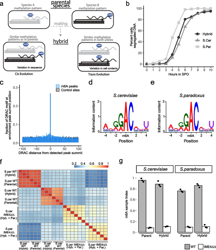 Zaccara Lab research