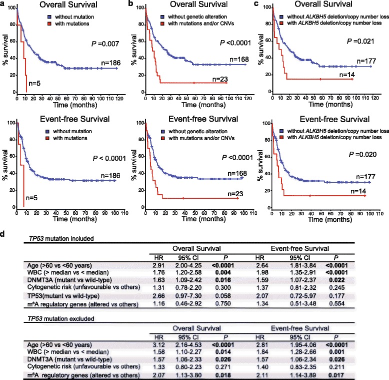 Scientific figure relevant to m6A regulation in haematopoiesis and acute myeloid leukaemia (AML).